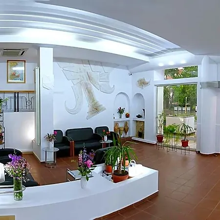 Albatros Mamaia